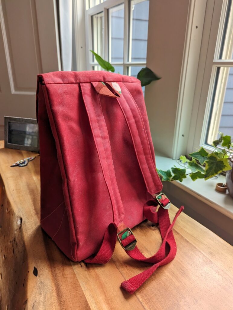 Red toddler backpack viewed from the back.