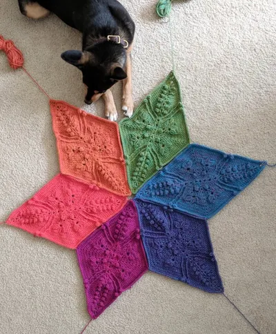 Progress photo of a crochet blanket. There are 6 diamond shapes arranged in a 6-pointed star. Each is a different bright color (blue, purple, magenta, salmon pink, orange, green). This picture is from above, showing all 6 of the diamond shapes. A small black and tan dog is visible sitting next to the star.