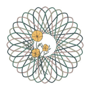 California poppy greeting card